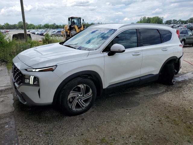 2023 Hyundai Santa Fe Sel VIN: 5NMS24AJXPH519522 Lot: 57205634