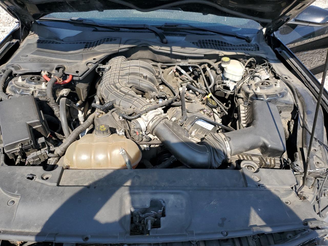 1FA6P8AM8F5341783 2015 Ford Mustang