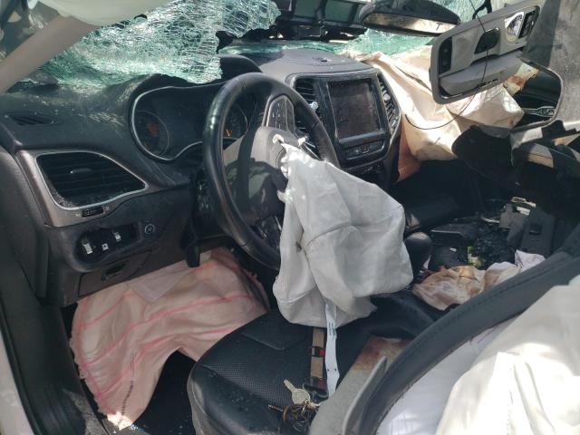 2019 Jeep Cherokee Limited VIN: 1C4PJLDX3KD487534 Lot: 61137404