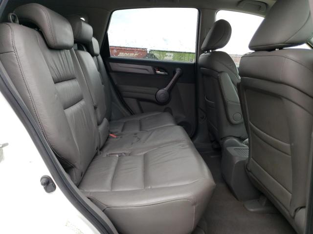 2008 Honda Cr-V Exl VIN: JHLRE487X8C020691 Lot: 60096934