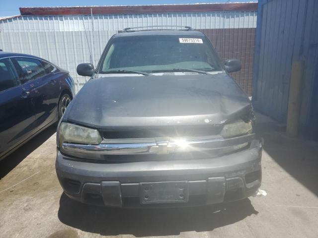 2005 Chevrolet Trailblazer Ls VIN: 1GNDT13S152221234 Lot: 59675314