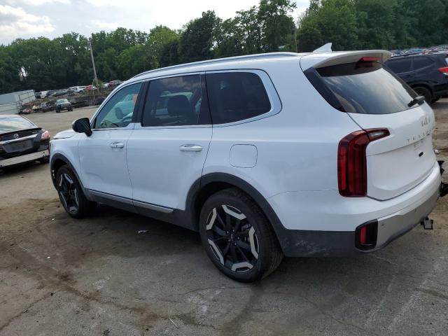 5XYP6DGC0RG489608 2024 KIA TELLURIDE - Image 2