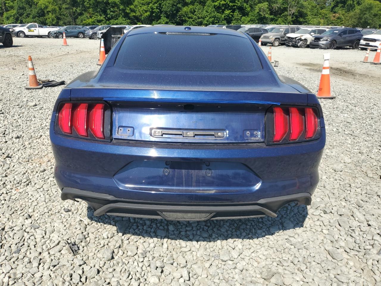 1FA6P8TH5K5116490 2019 Ford Mustang