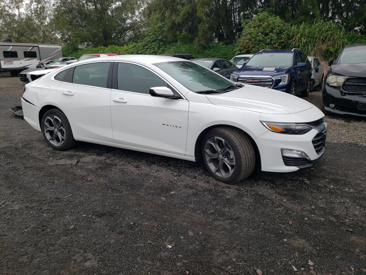 2024 Chevrolet Malibu Lt vin: 1G1ZD5ST8RF141160