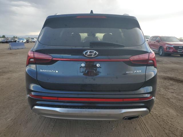 2021 Hyundai Santa Fe Calligraphy VIN: 5NMS5DAL7MH328497 Lot: 59305134