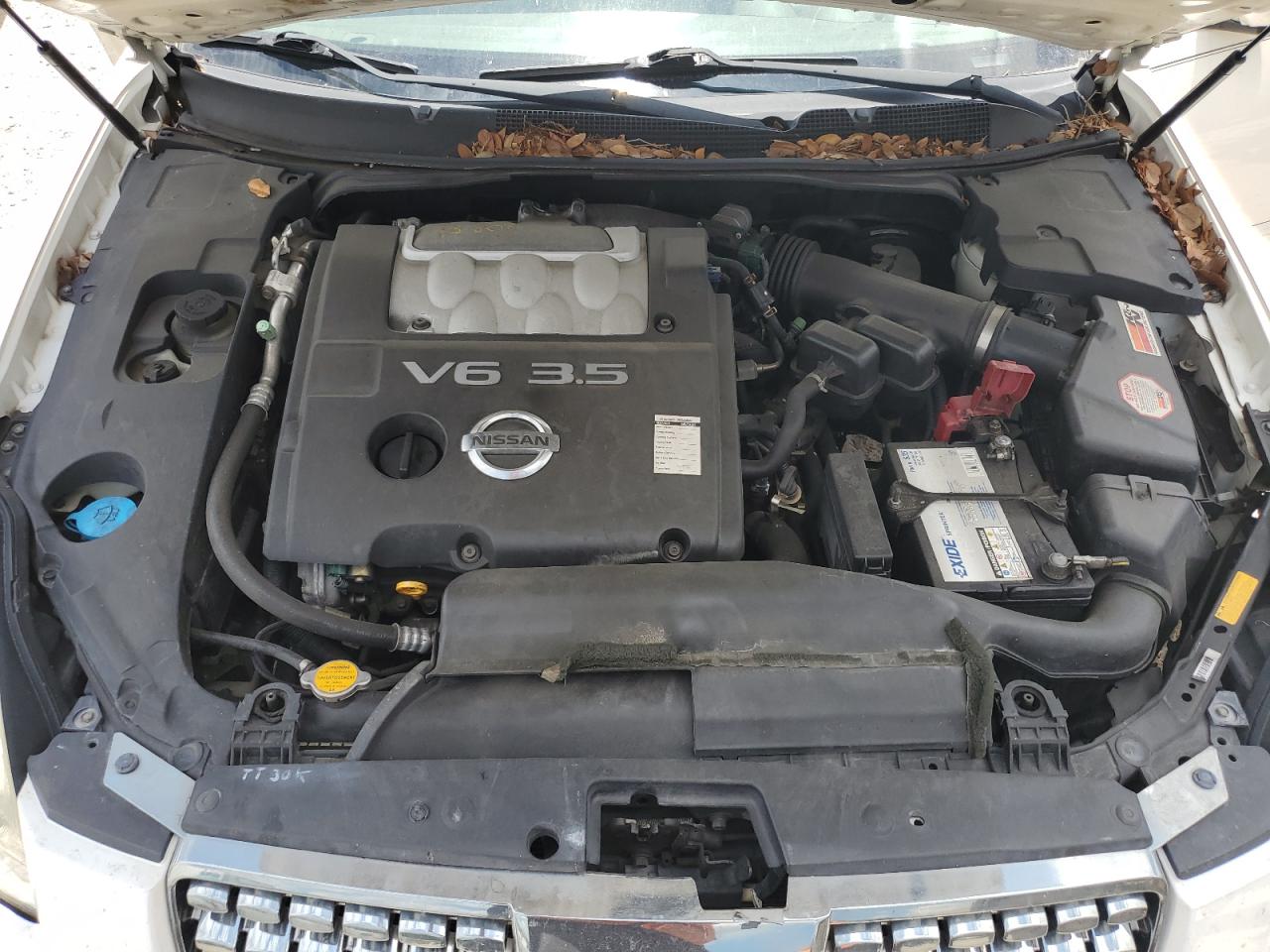 1N4BA41E34C810580 2004 Nissan Maxima Se