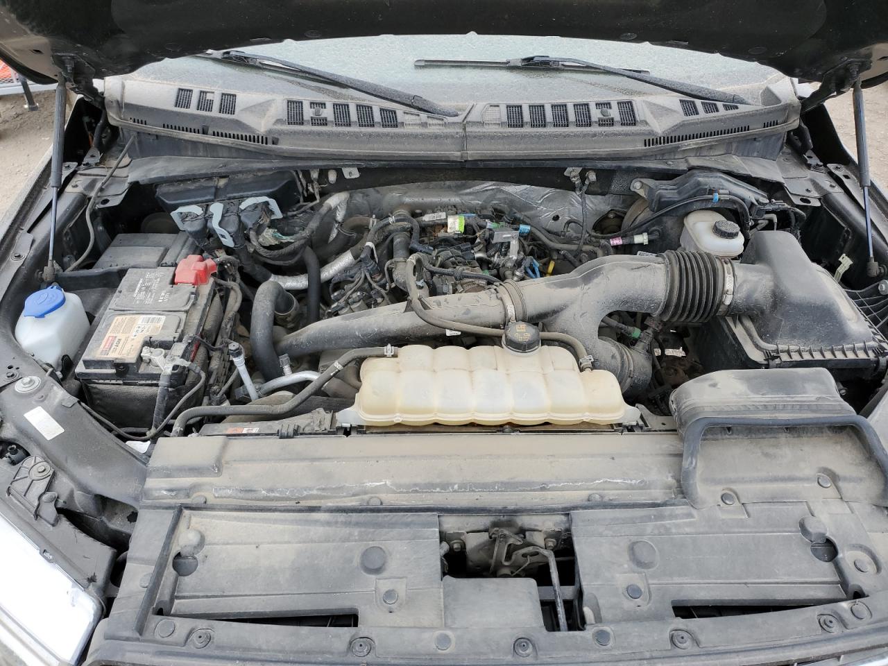 1FTEW1EPXKFB80393 2019 Ford F150 Supercrew