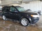 SUBARU FORESTER 2 photo