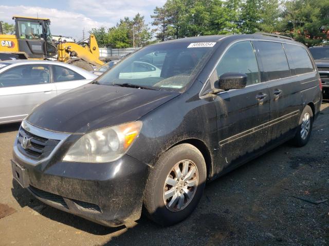 Vin: 5fnrl3h71ab012453, lot: 58906354, honda all models exl 20101