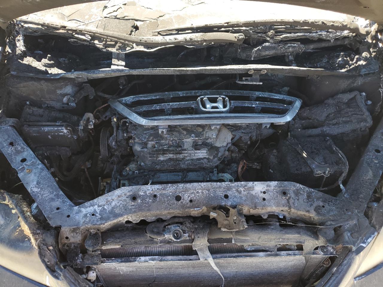 5FNRL38706B117122 2006 Honda Odyssey Exl