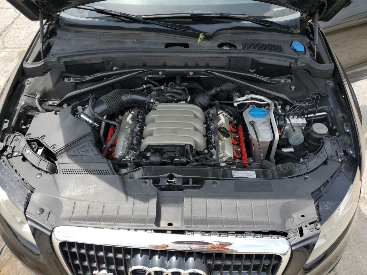 WA1VKAFP7AA010329 2010 Audi Q5 Prestige