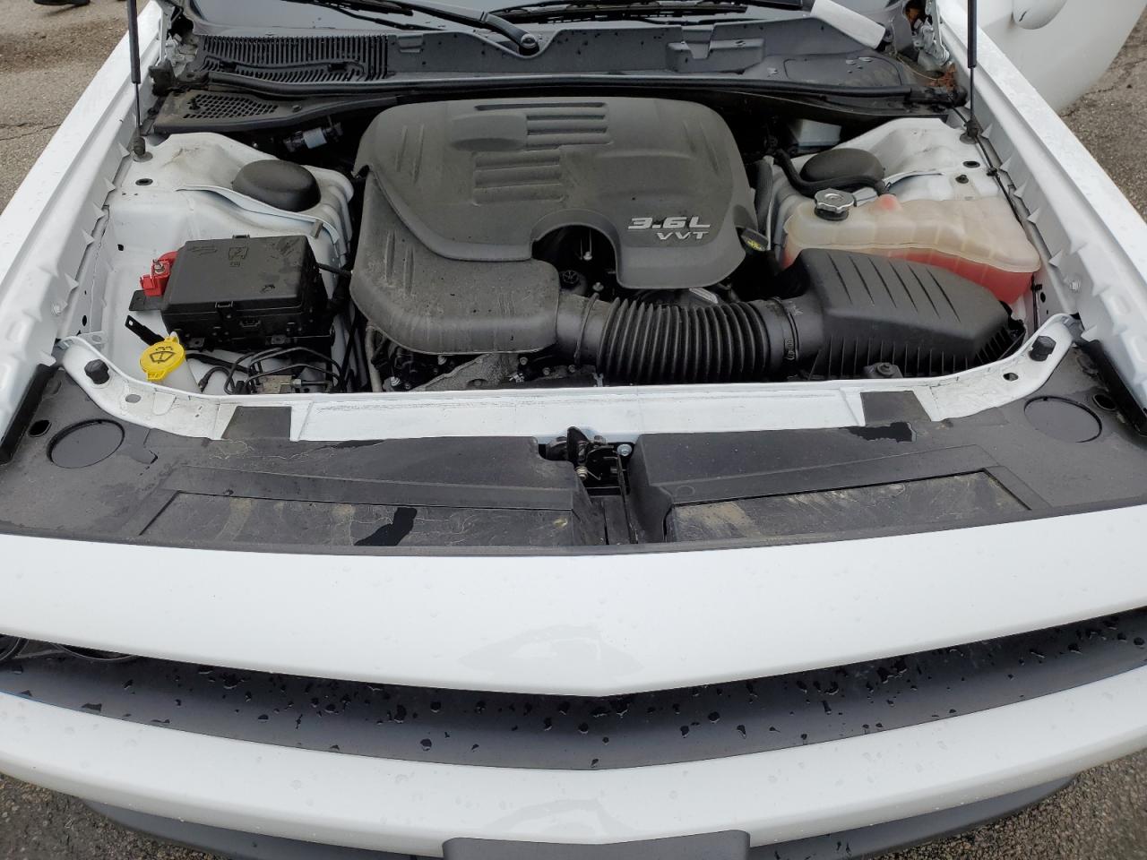 2C3CDZJG7MH668305 2021 Dodge Challenger Gt