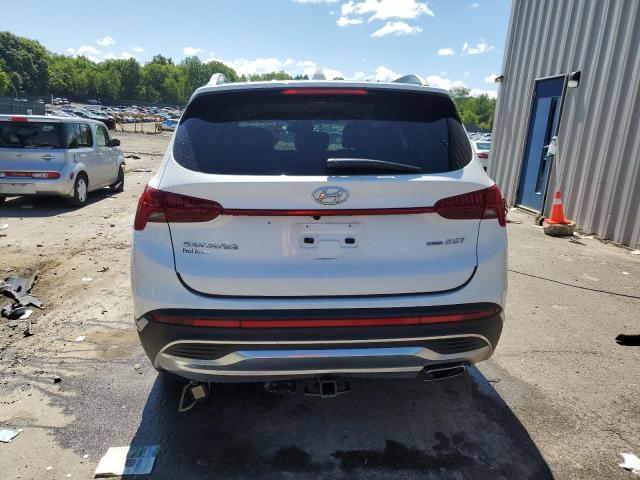 2021 Hyundai Santa Fe Limited VIN: 5NMS4DAL6MH344466 Lot: 59401184