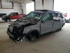 2024 KIA TELLURIDE - 5XYP5DGC4RG496208