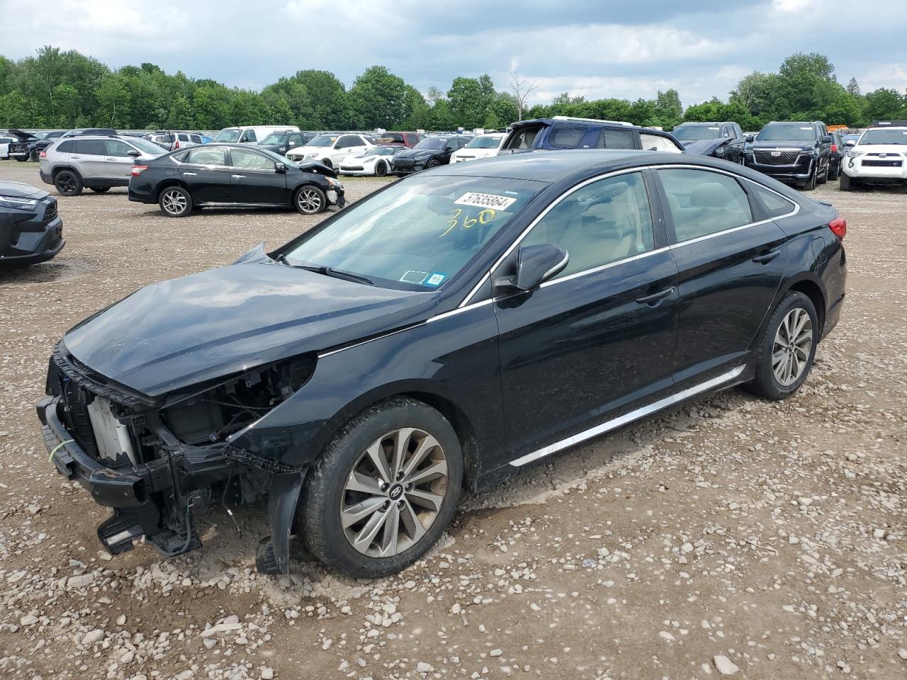 5NPE34AF7GH421394 2016 Hyundai Sonata Sport