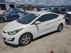 HYUNDAI ELANTRA SE photo