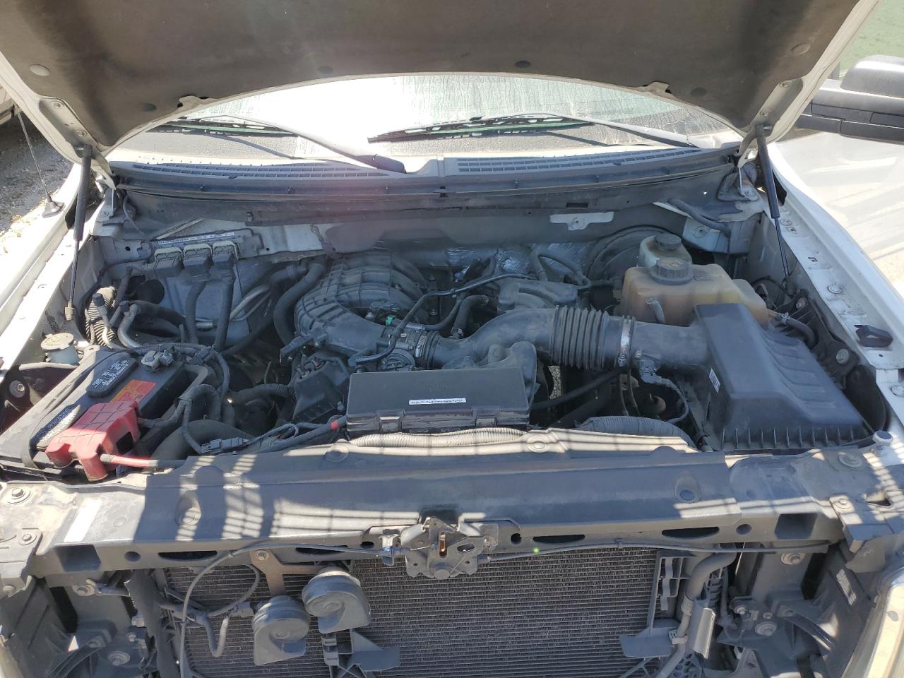 1FTMF1CM2DKD38191 2013 Ford F150