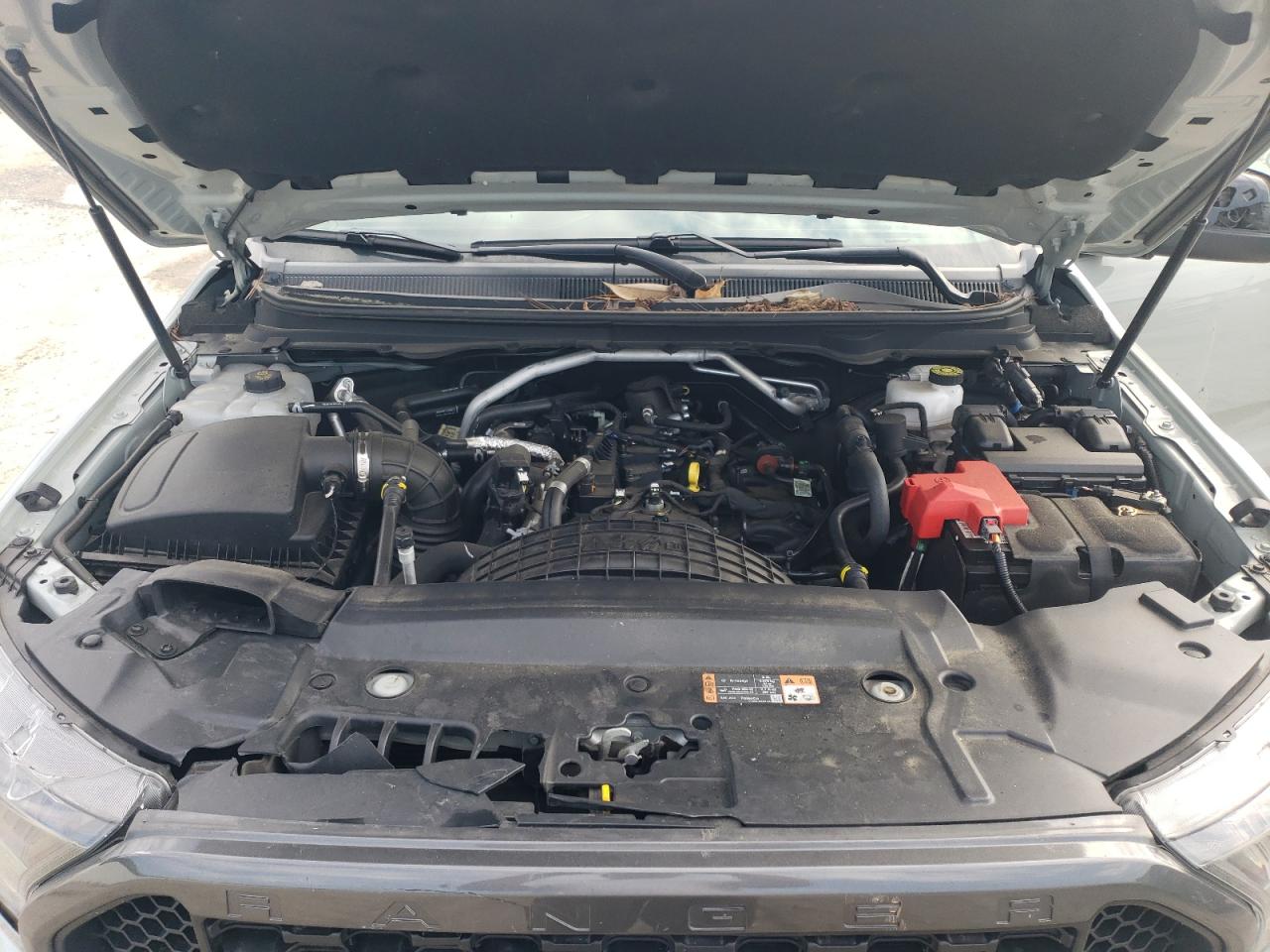 1FTER4FH1MLD08623 2021 Ford Ranger Xl