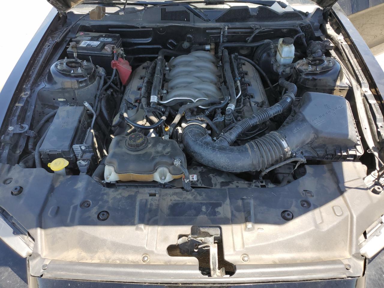 1ZVBP8CF4D5236319 2013 Ford Mustang Gt