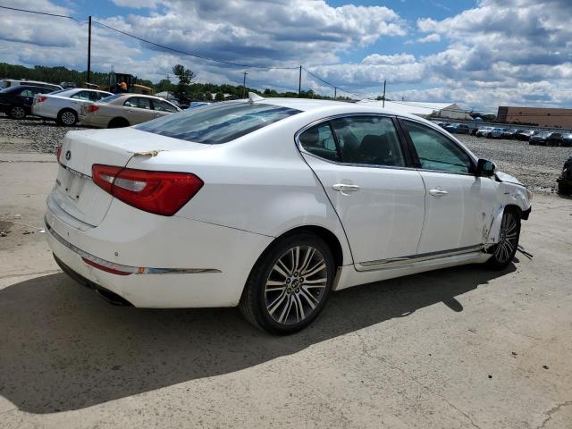 2014 Kia Cadenza Premium VIN: KNALN4D76E5132491 Lot: 58077984
