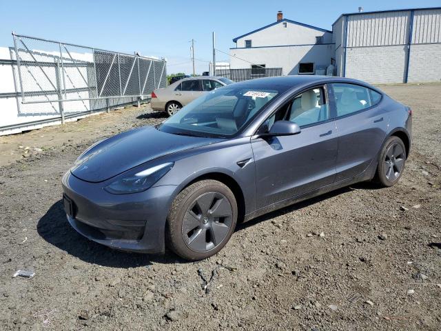 2023 Tesla Model 3 VIN: 5YJ3E1EA3PF646358 Lot: 57159734