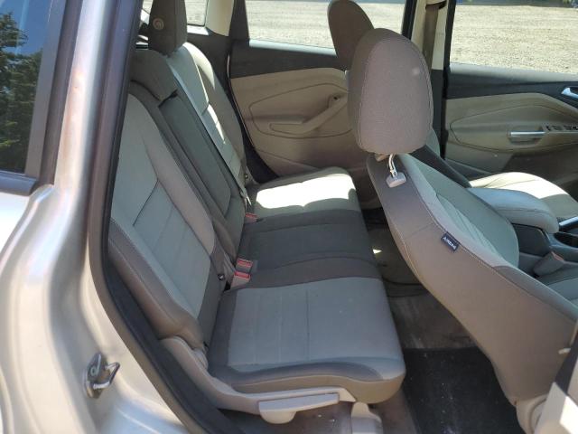 2013 Ford C-Max Se VIN: 1FADP5AU1DL519998 Lot: 60323314