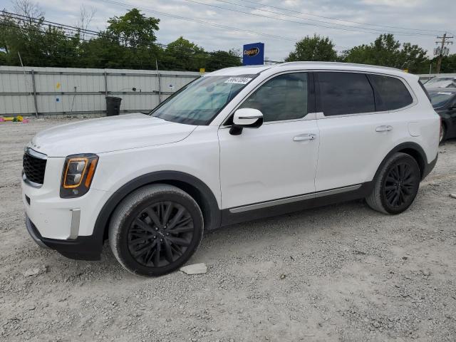 2022 KIA TELLURIDE - 5XYP5DHC2NG259905