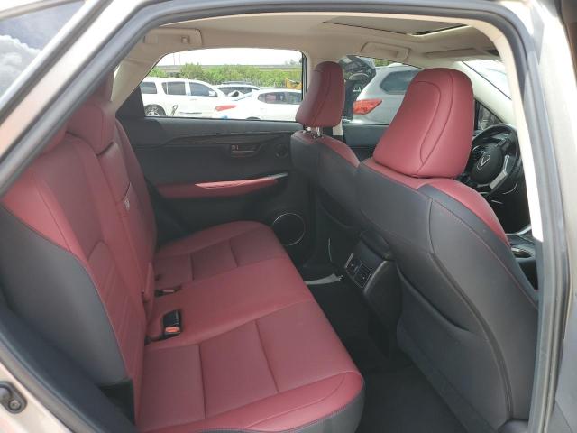 2020 LEXUS NX 300 - JTJDARBZ0L5016282