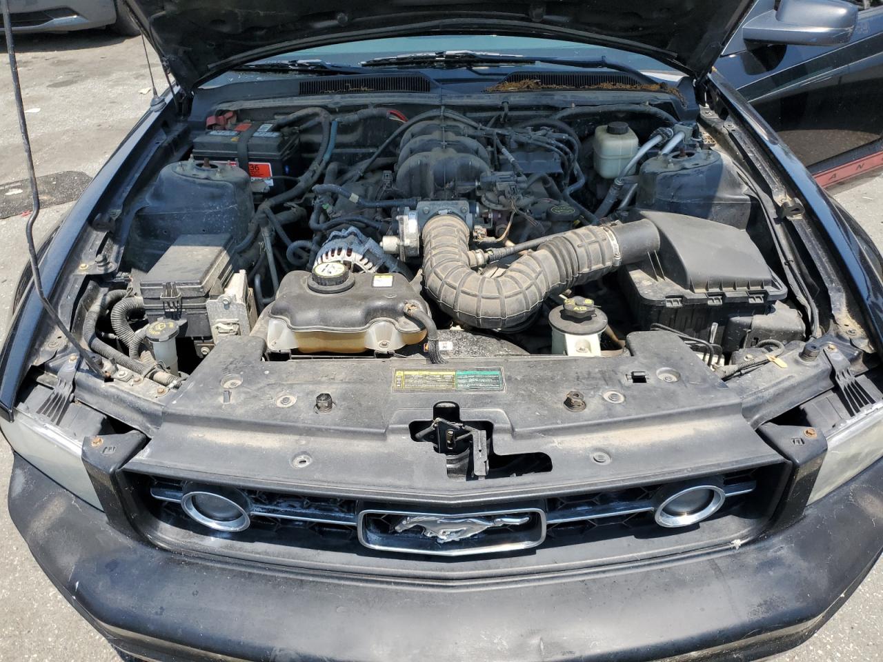 1ZVHT80N385174340 2008 Ford Mustang