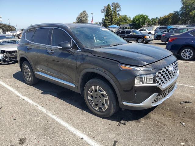2022 HYUNDAI SANTA FE B - KM8S2DA10NU037501