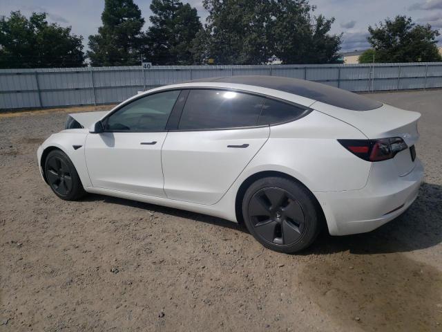 2021 Tesla Model 3 VIN: 5YJ3E1EA8MF002964 Lot: 57171304