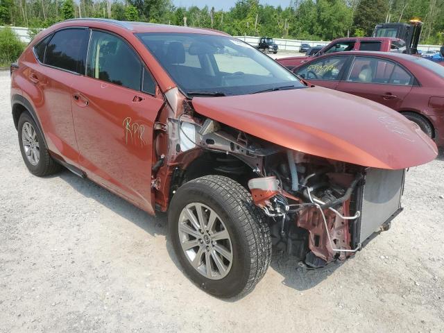 2020 LEXUS NX 300 JTJDARDZ2L2226994