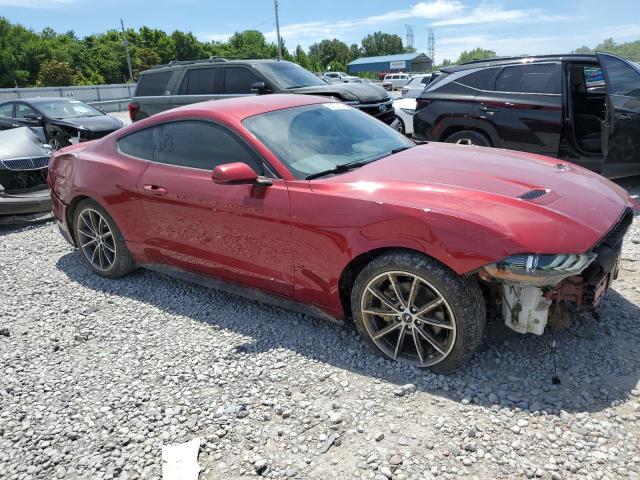 2019 Ford Mustang VIN: 1FA6P8TH0K5181148 Lot: 58702124