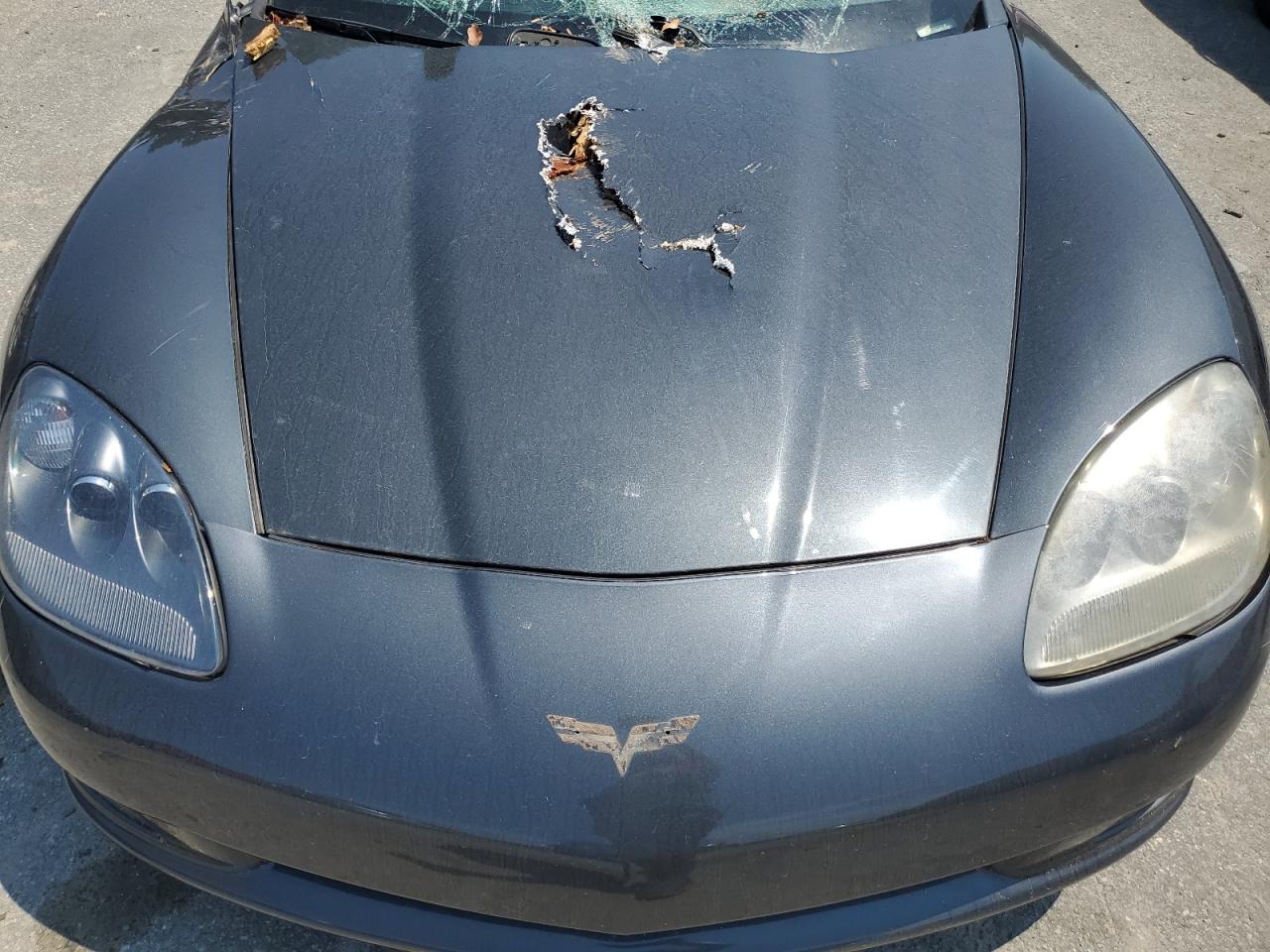 1G1YB2DW8A5100528 2010 Chevrolet Corvette