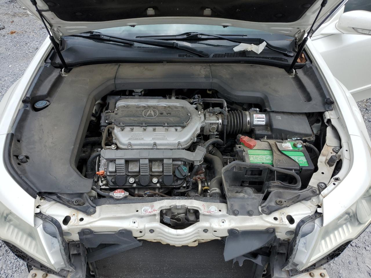 19UUA8F53BA005319 2011 Acura Tl