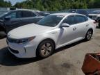 2017 KIA OPTIMA HYB - KNAGT4LE0H5015002