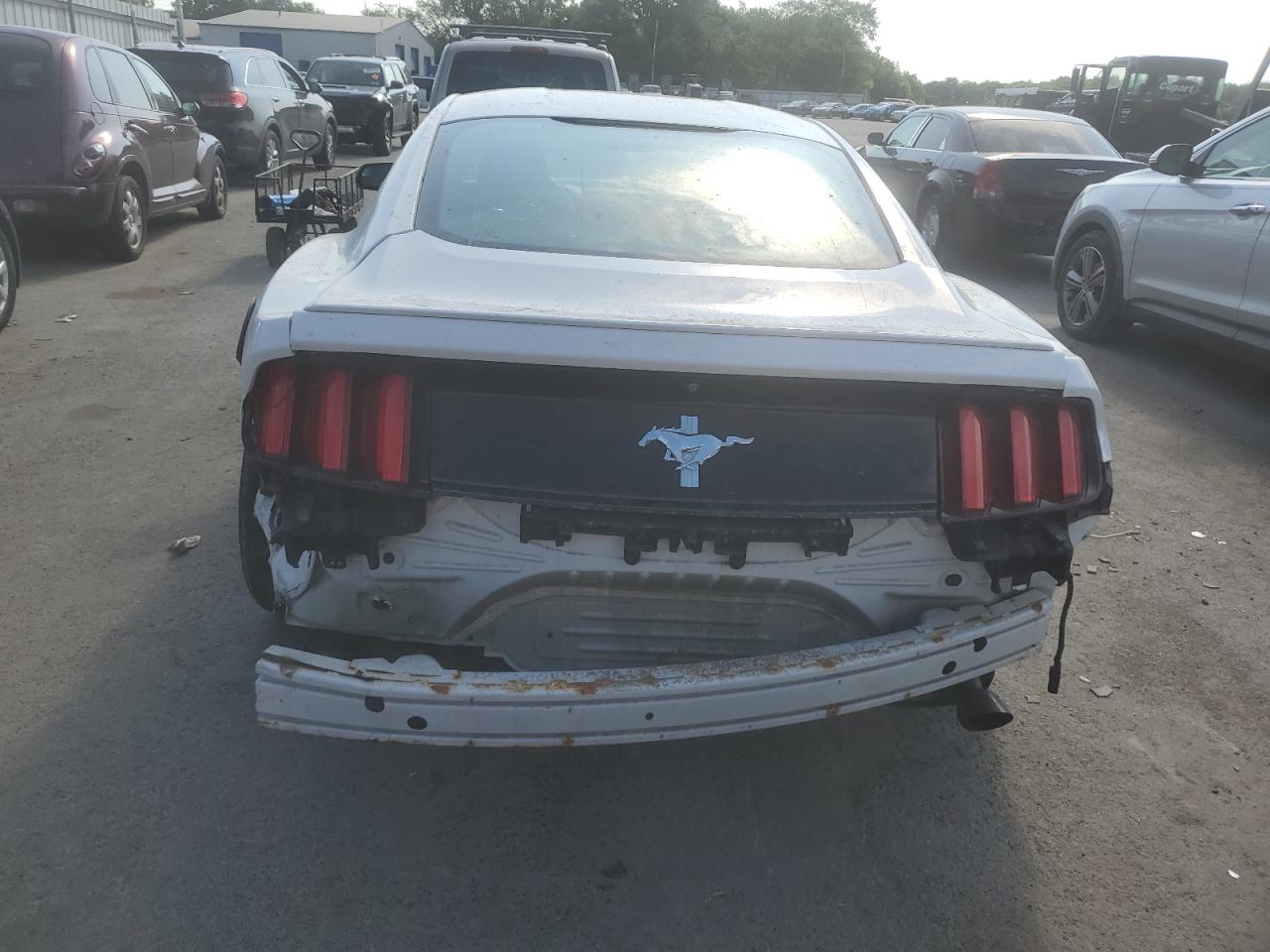 1FA6P8AM4G5209914 2016 Ford Mustang