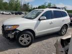 HYUNDAI SANTA FE L photo