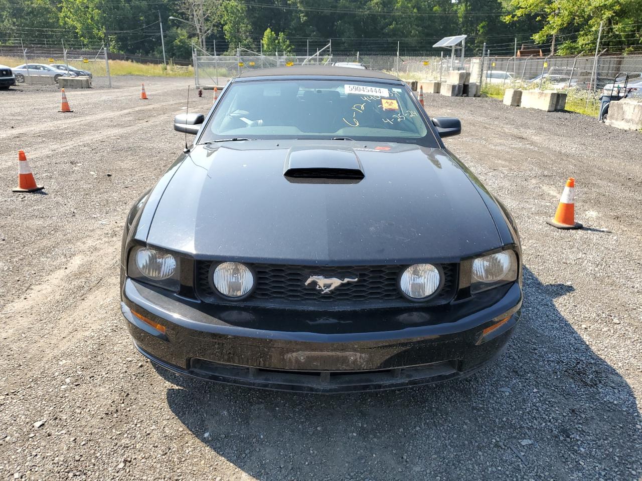 1ZVHT85H875365611 2007 Ford Mustang Gt