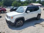 JEEP RENEGADE L снимка