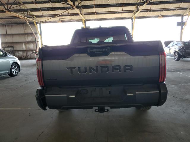 2023 Toyota Tundra Crewmax Platinum VIN: 5TFNA5DB6PX069028 Lot: 59272624