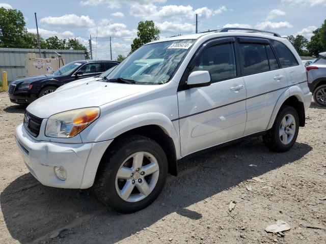 2004 Toyota Rav4 VIN: JTEHD20V740004367 Lot: 57085474