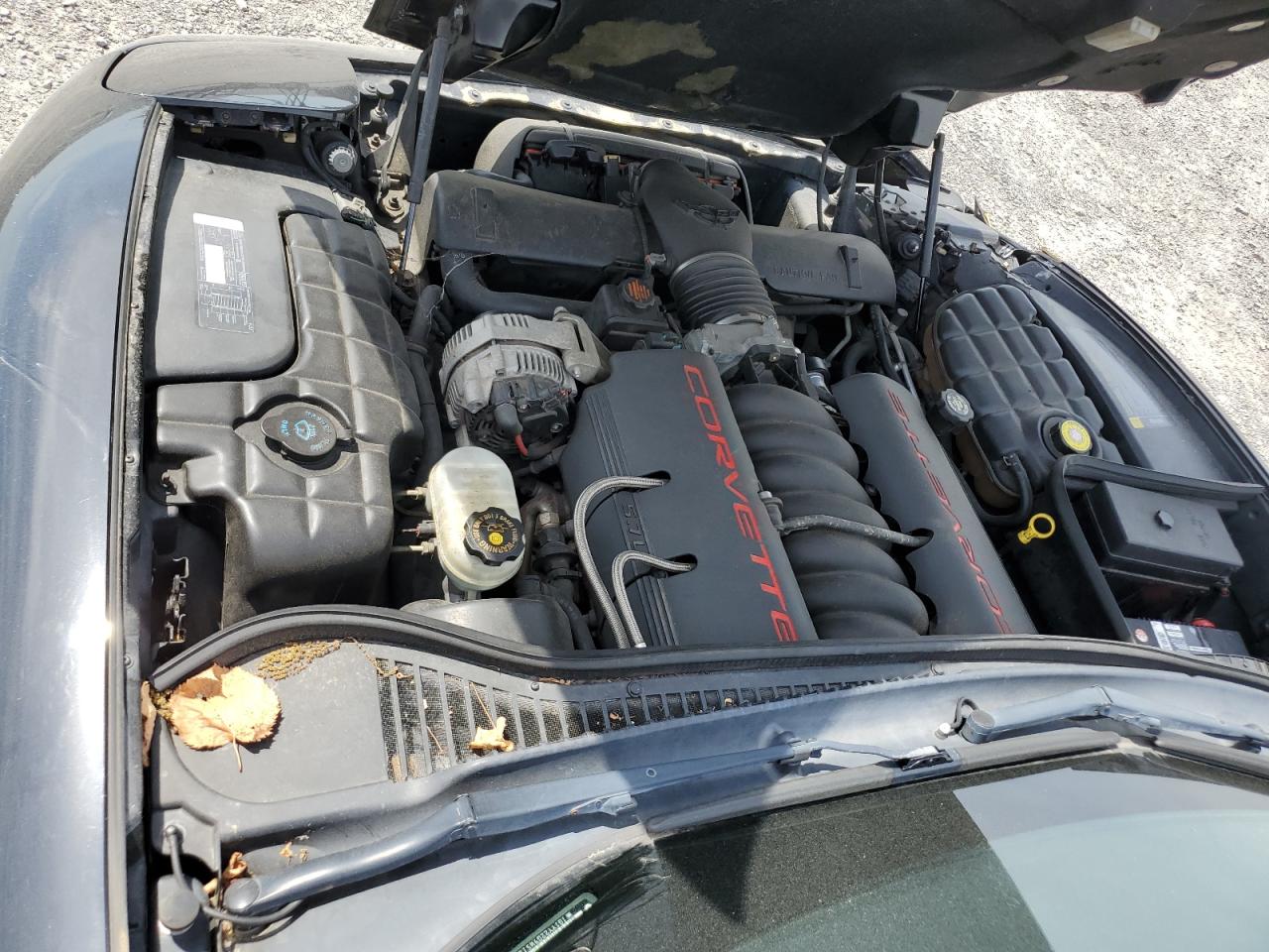 1G1YY22G9W5129246 1998 Chevrolet Corvette