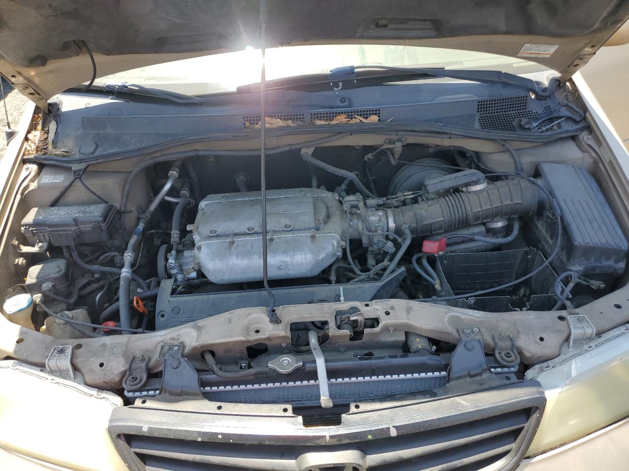 2HKRL18652H577898 2002 Honda Odyssey Ex