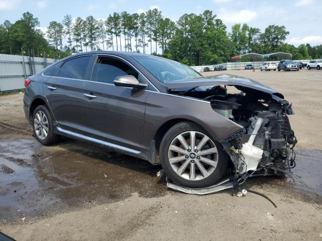 2017 HYUNDAI SONATA SPO - 5NPE34AF8HH571516