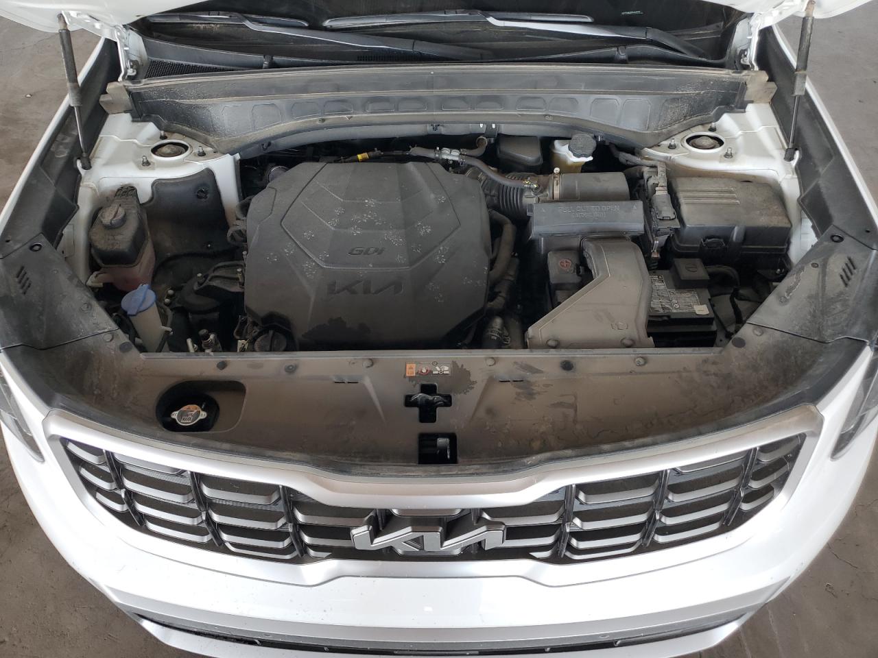 5XYP54GC3PG393052 2023 Kia Telluride Sx