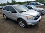 HONDA CR-V SE photo