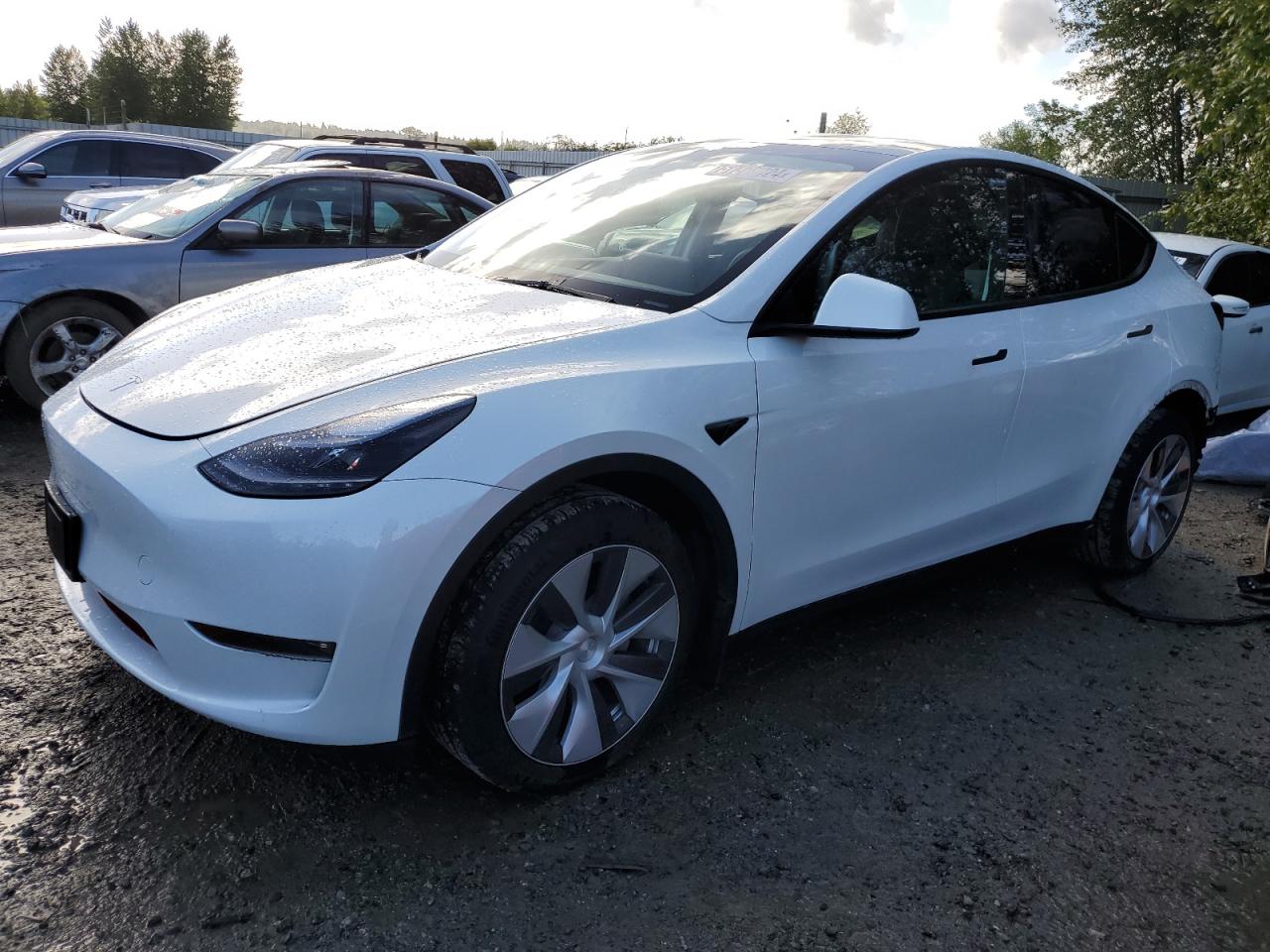 7SAYGDEE1PF760818 2023 Tesla Model Y