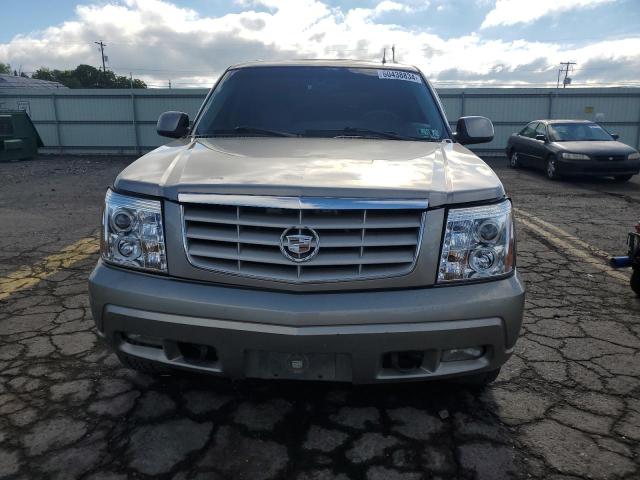 1GYEK63N32R190850 | 2002 Cadillac escalade luxury