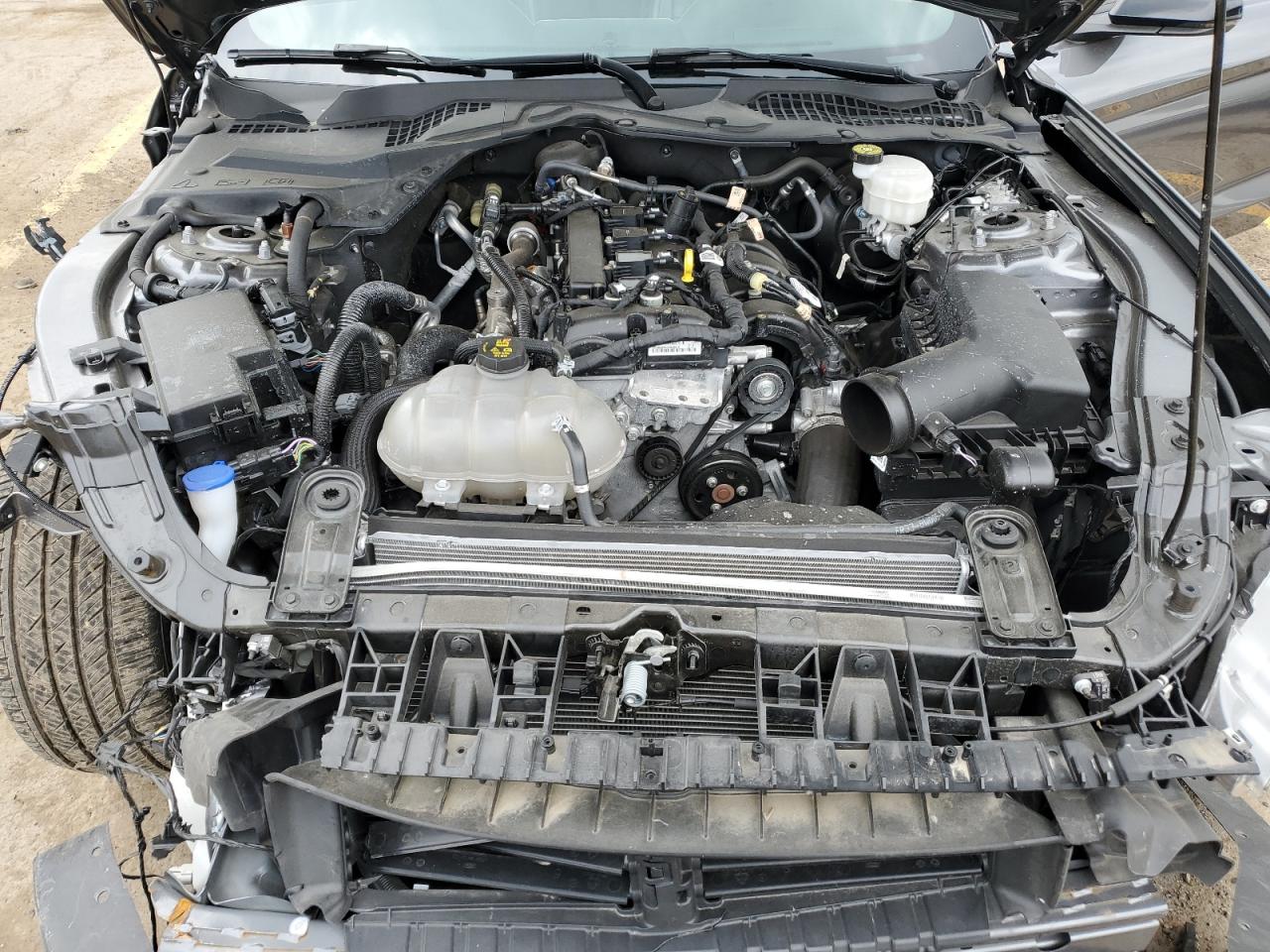 1FA6P8TH2M5122007 2021 Ford Mustang